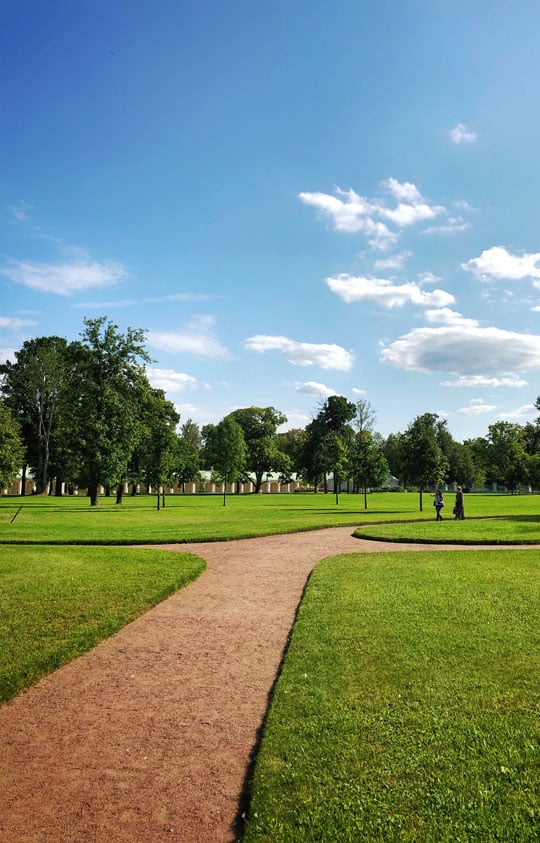 Lawns & Turf landscaper-01-service